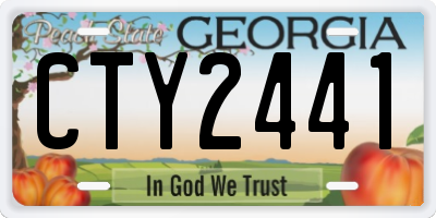 GA license plate CTY2441