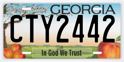 GA license plate CTY2442