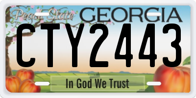 GA license plate CTY2443