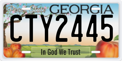 GA license plate CTY2445