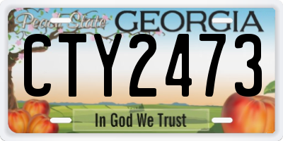 GA license plate CTY2473