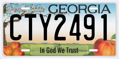 GA license plate CTY2491