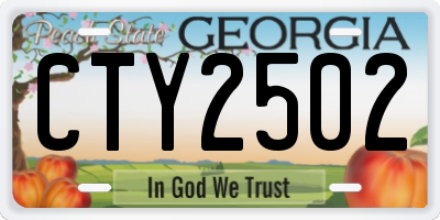 GA license plate CTY2502