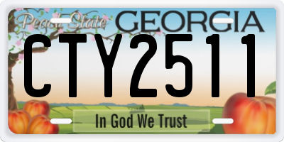 GA license plate CTY2511
