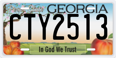 GA license plate CTY2513