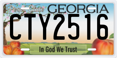 GA license plate CTY2516
