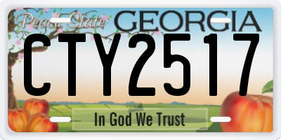 GA license plate CTY2517
