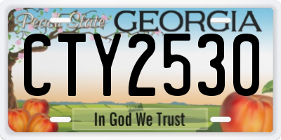 GA license plate CTY2530