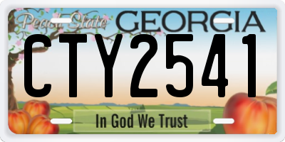 GA license plate CTY2541