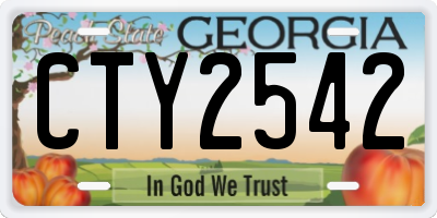 GA license plate CTY2542
