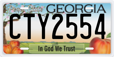 GA license plate CTY2554