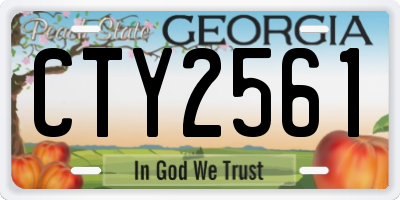 GA license plate CTY2561