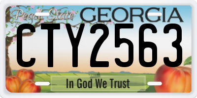 GA license plate CTY2563