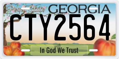 GA license plate CTY2564