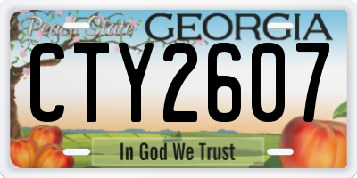GA license plate CTY2607