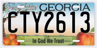 GA license plate CTY2613