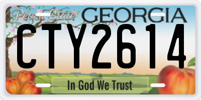 GA license plate CTY2614