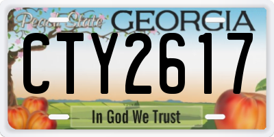 GA license plate CTY2617