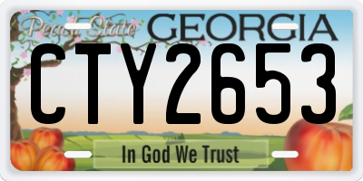 GA license plate CTY2653