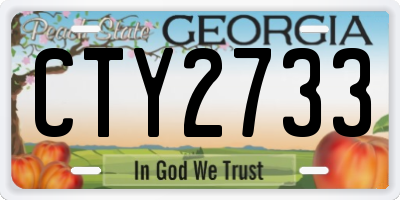 GA license plate CTY2733