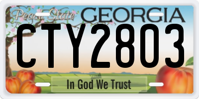 GA license plate CTY2803