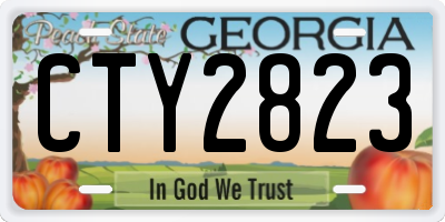 GA license plate CTY2823