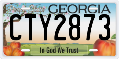 GA license plate CTY2873