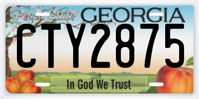 GA license plate CTY2875