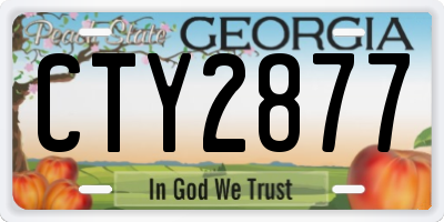 GA license plate CTY2877