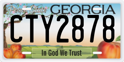 GA license plate CTY2878