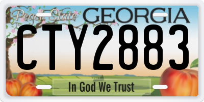 GA license plate CTY2883