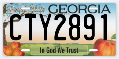 GA license plate CTY2891