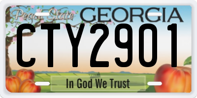 GA license plate CTY2901