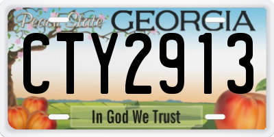 GA license plate CTY2913