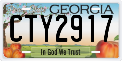 GA license plate CTY2917