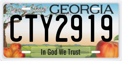 GA license plate CTY2919