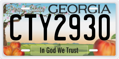 GA license plate CTY2930