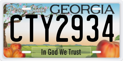 GA license plate CTY2934