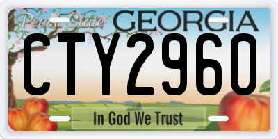 GA license plate CTY2960