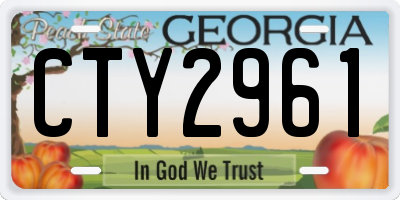 GA license plate CTY2961