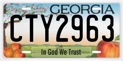 GA license plate CTY2963