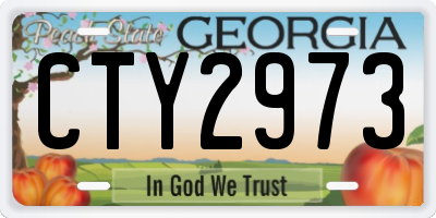 GA license plate CTY2973