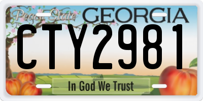 GA license plate CTY2981