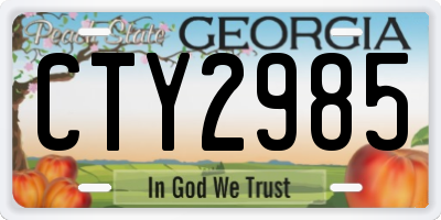 GA license plate CTY2985