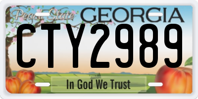 GA license plate CTY2989