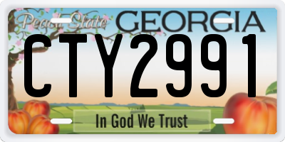GA license plate CTY2991