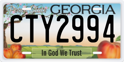 GA license plate CTY2994
