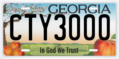 GA license plate CTY3000