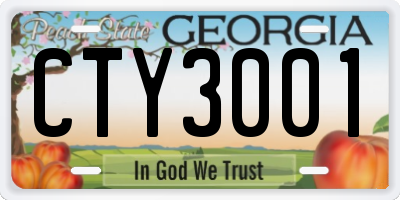 GA license plate CTY3001