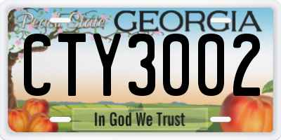 GA license plate CTY3002